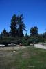 one 40 foot mast